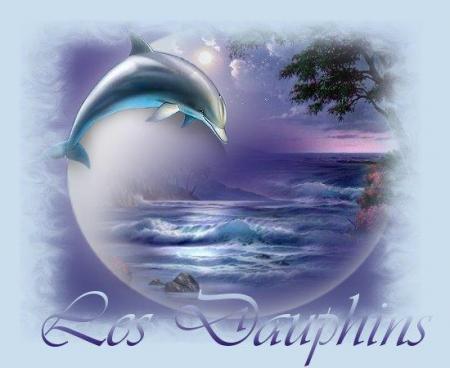 le dauphins