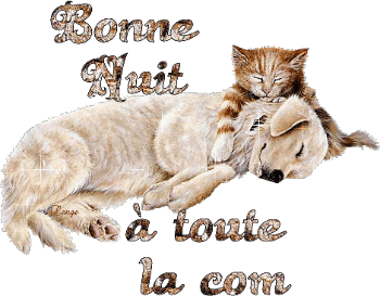 bonne soiree douce nuit