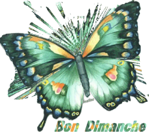bon dimanche