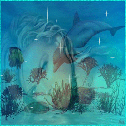 bonne soiree douce nuit