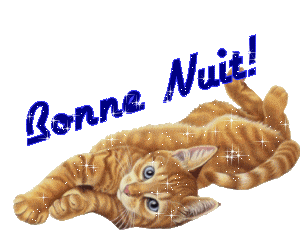 bonne soiree douce nuit