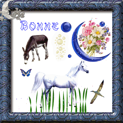 bonne soiree douce nuit