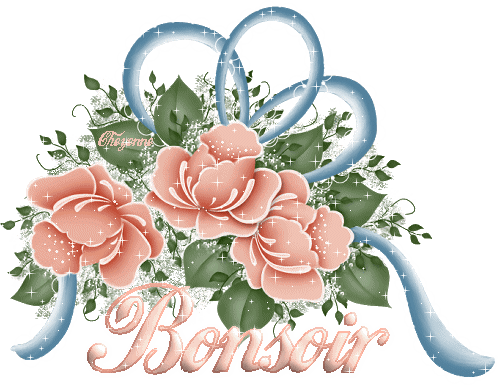 bonsoir