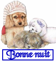 bonsoir a tous