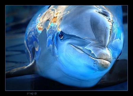 bon debut de semaine